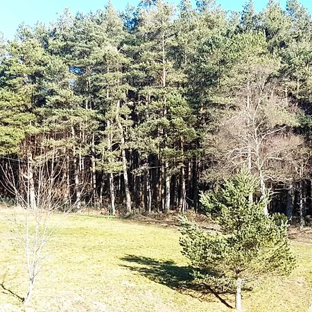 Complejo O Pineiral Pensjonat A Fonsagrada