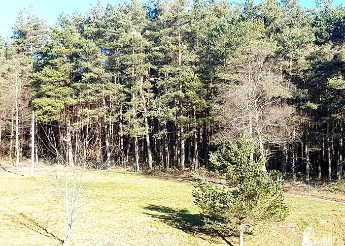 Complejo O Pineiral Pensjonat A Fonsagrada